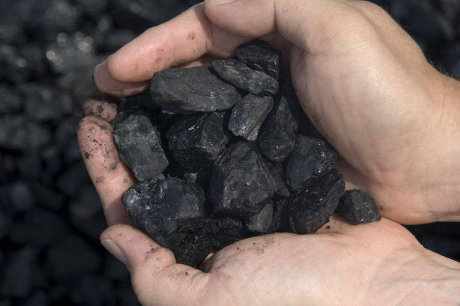 hands holding wet coal